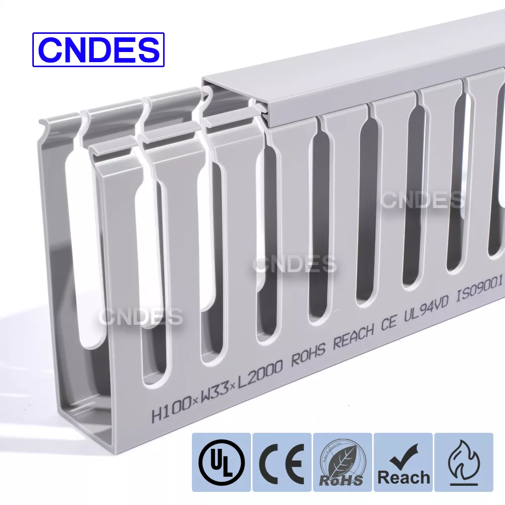 Gestion des câbles du rack de serveur 100 × 33